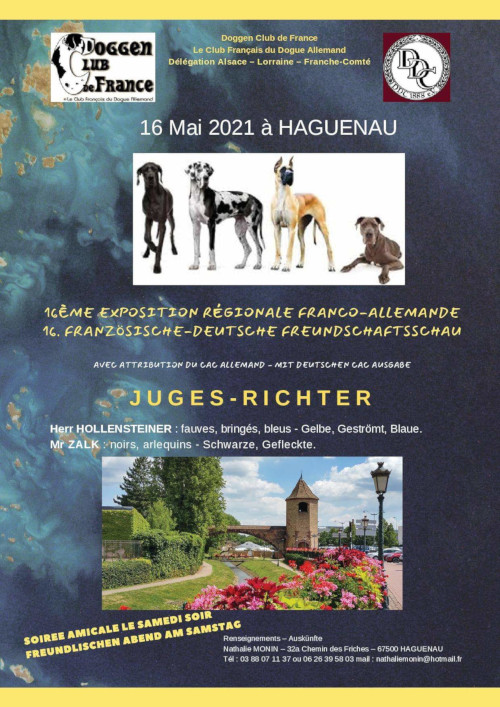 affiche de la 16me exposition rgionale franco-allemande 2021  Haguenau