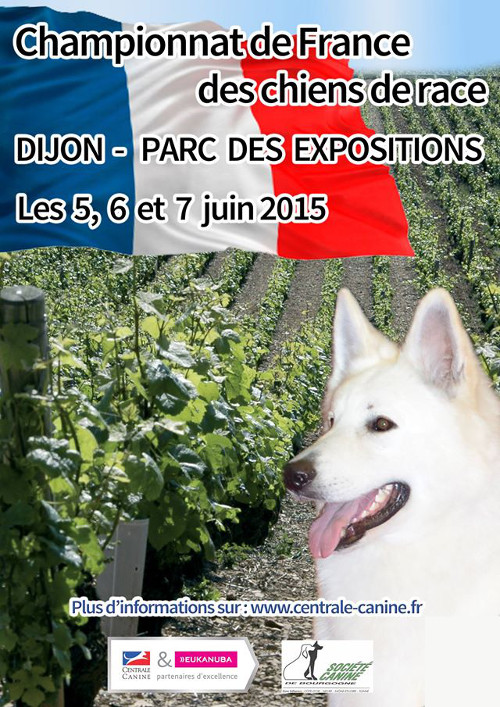 affiche de la 137me exposition de championnat de France de Dijon