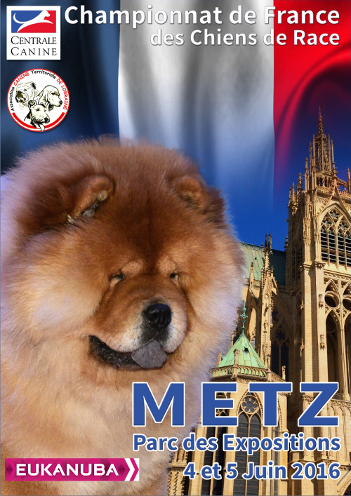 poster of the 138th championship of France in Metz