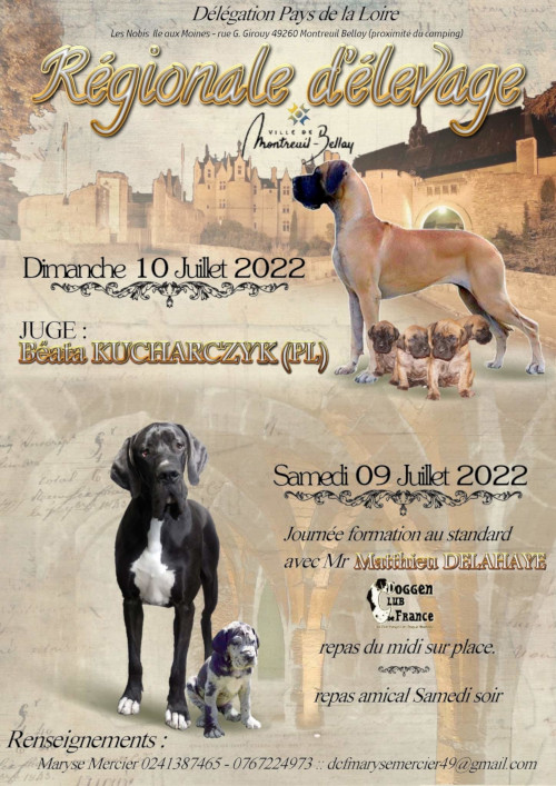 affiche de l'exposition rgionale d'levage de Montreuil-Bellay 2022