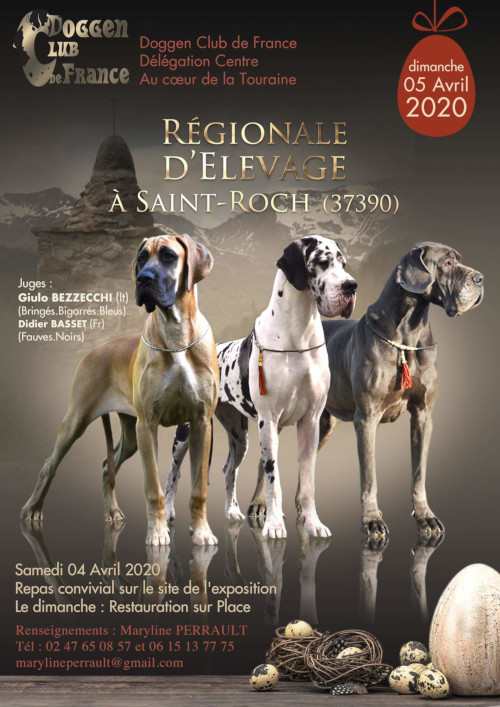 affiche de l'exposition rgionale d'levage de Saint-Roch 2020